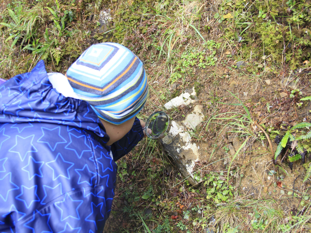 Braunwald, Flechtenlehrpfad, Unterwegs mit der Lupe
