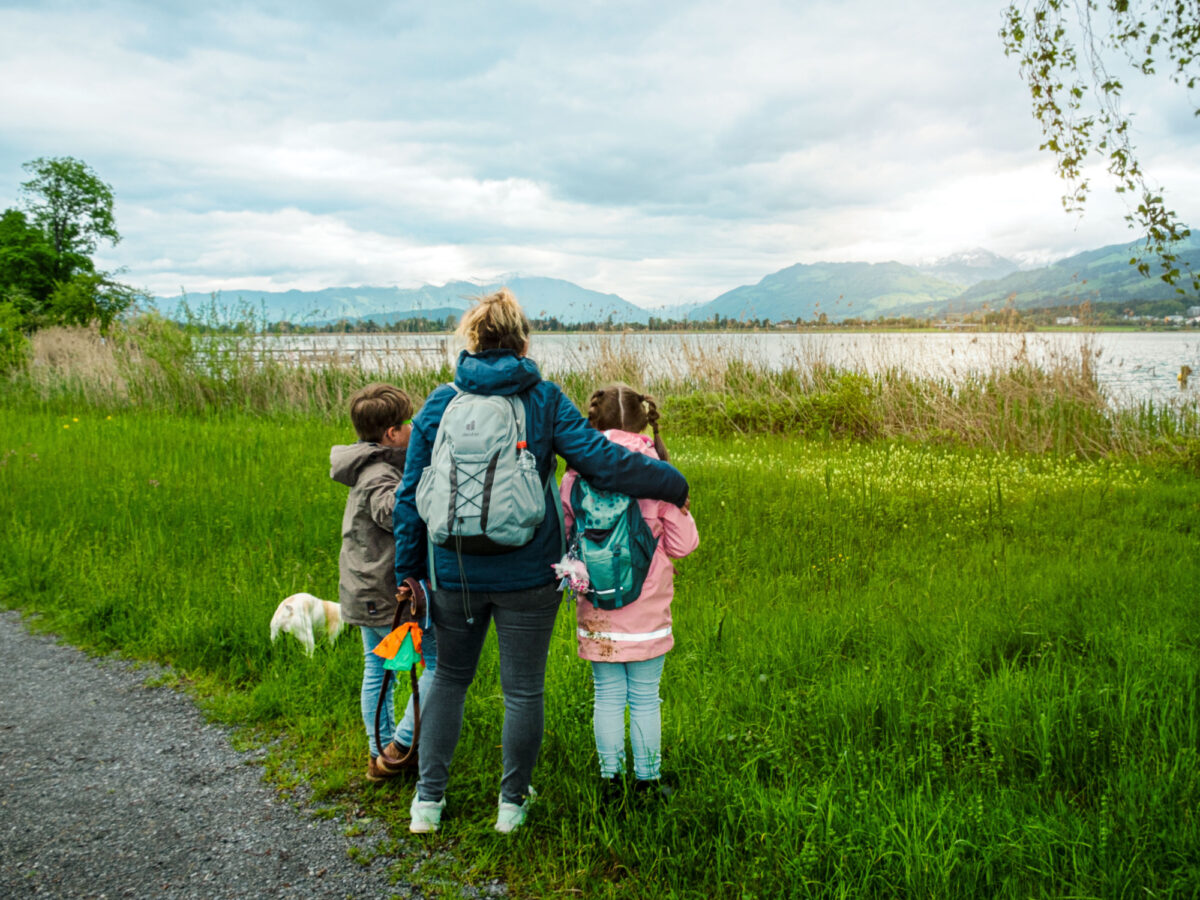 Rapperswil, Ringo-Reise, ZVV