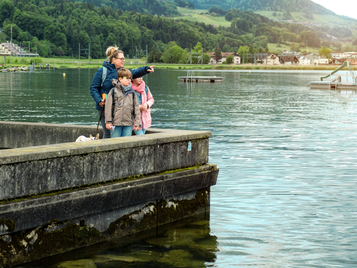Rapperswil, Ringo-Reise, ZVV
