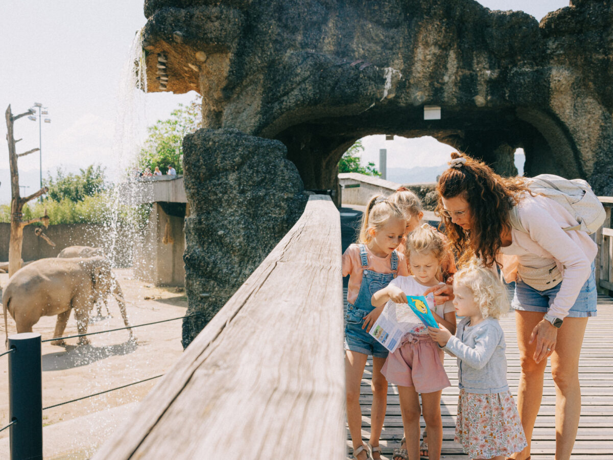 Rapperswil, Knies Kinderzoo, Blog SOB