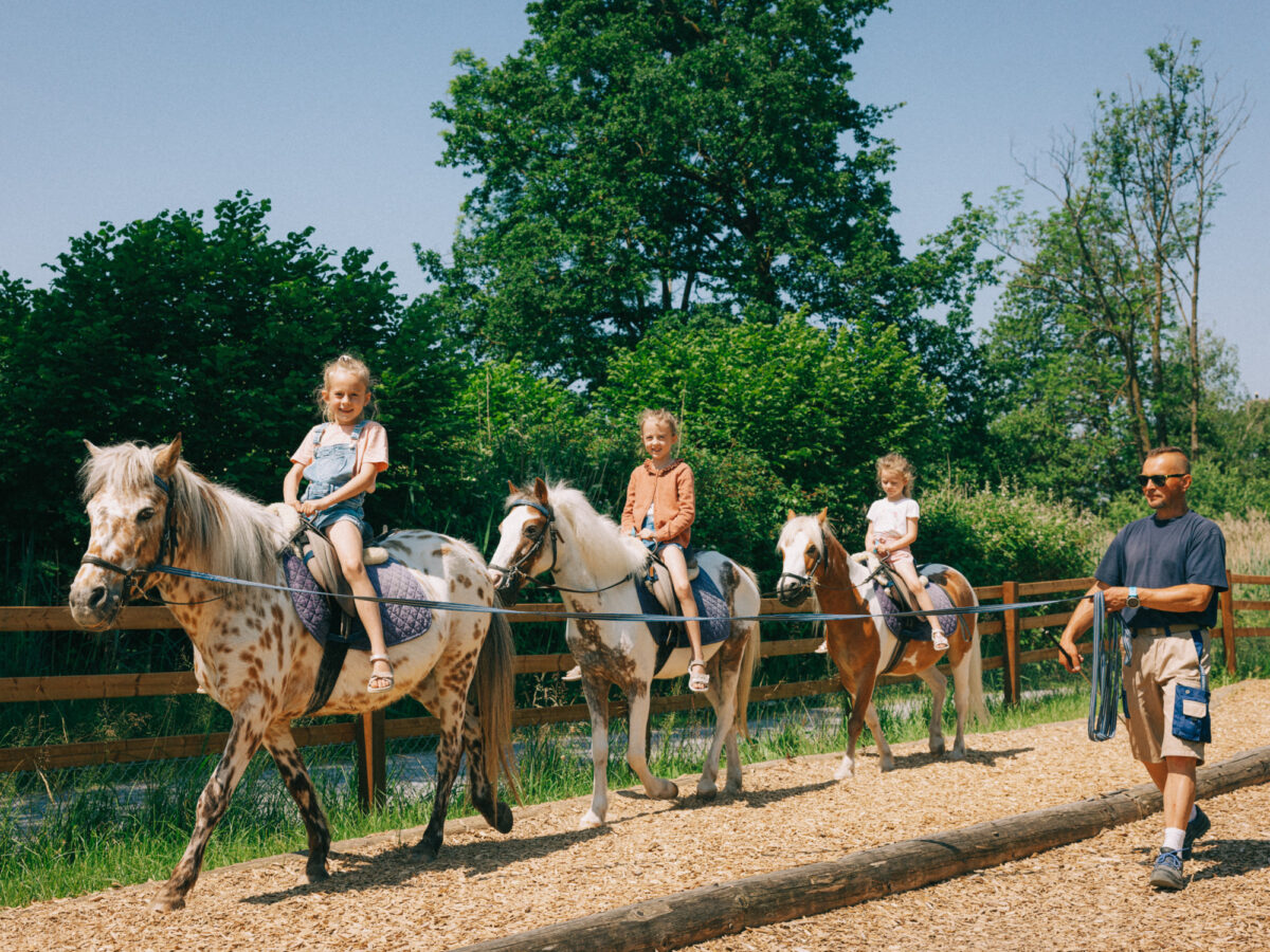 Rapperswil, Knies Kinderzoo, Blog SOB