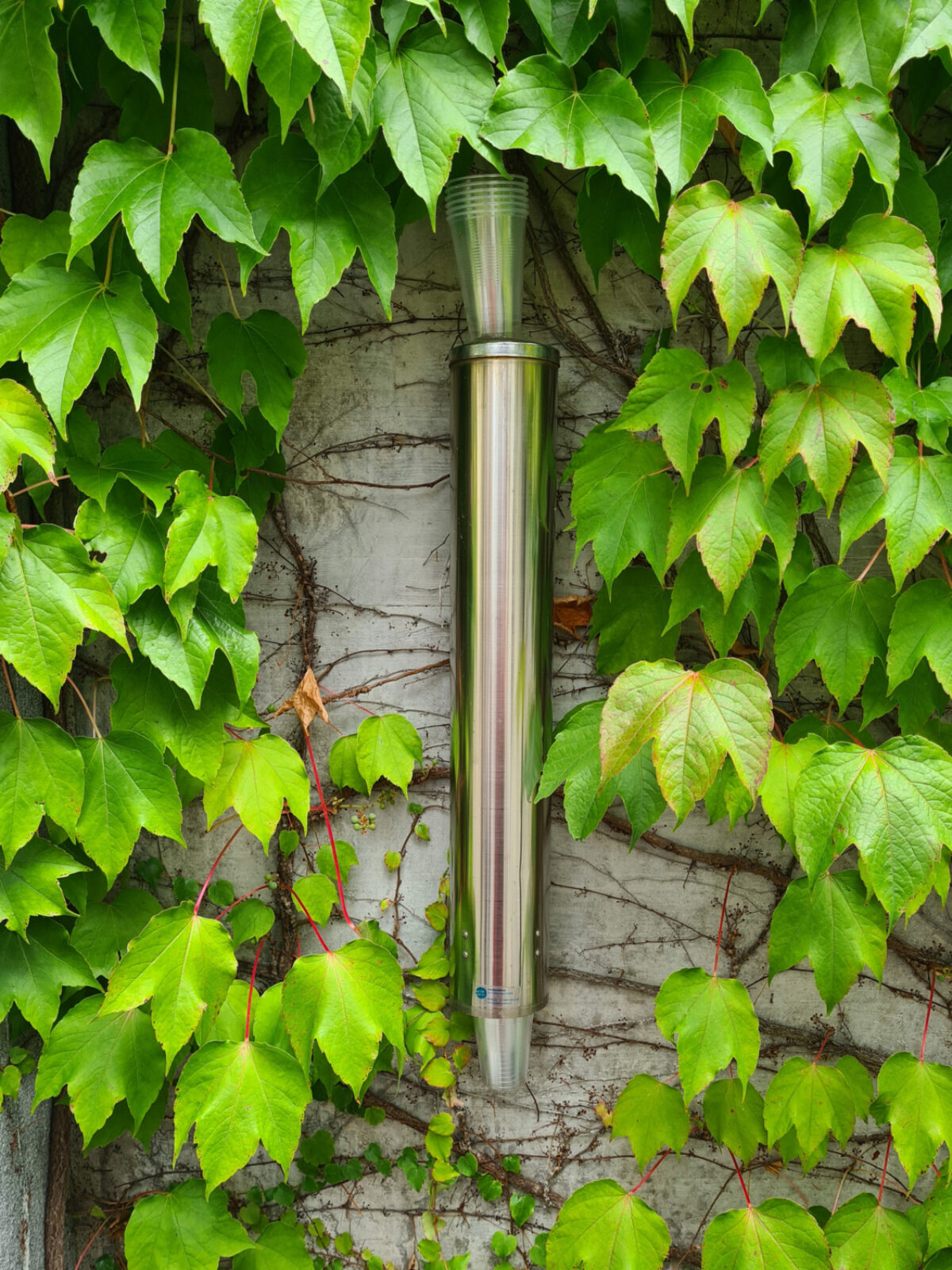 Baden, Quellcode, Blog