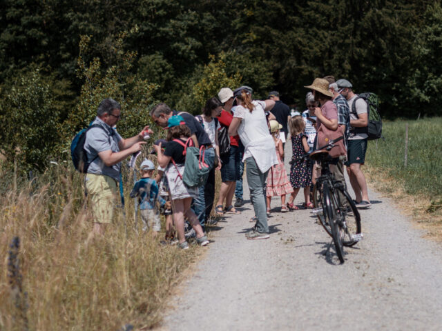 Lindau, Farmtrail