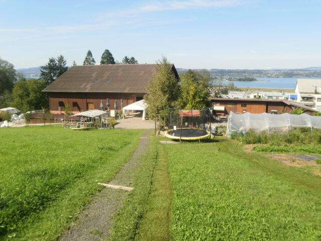 Pfäffikon, Lützelhof