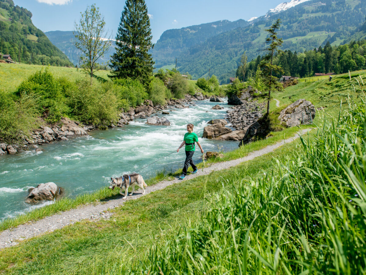 Muotathal, Husky-Lodge