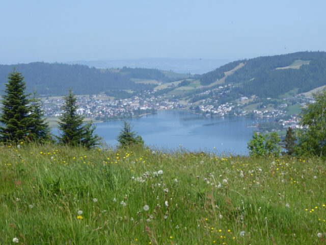 Rothenthurm, Krafthweg, Ägerisee