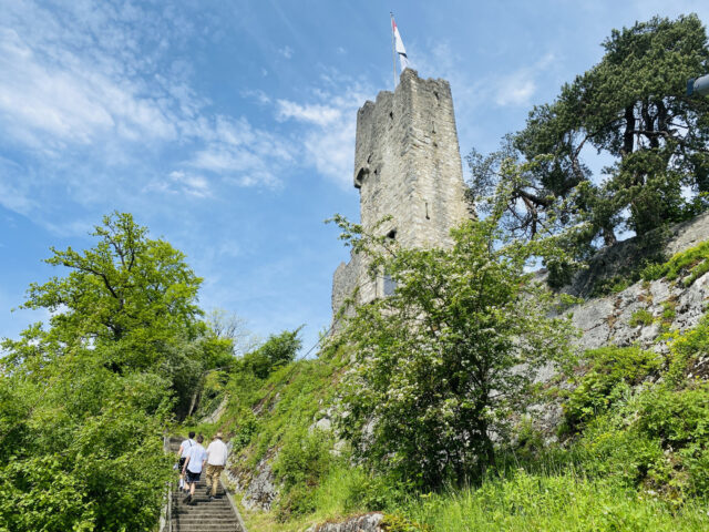 Baden, Krimi-Trail, Ruine Stein