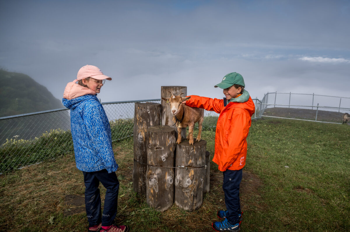 Fronalpstock, Restaurant Fronalpstock