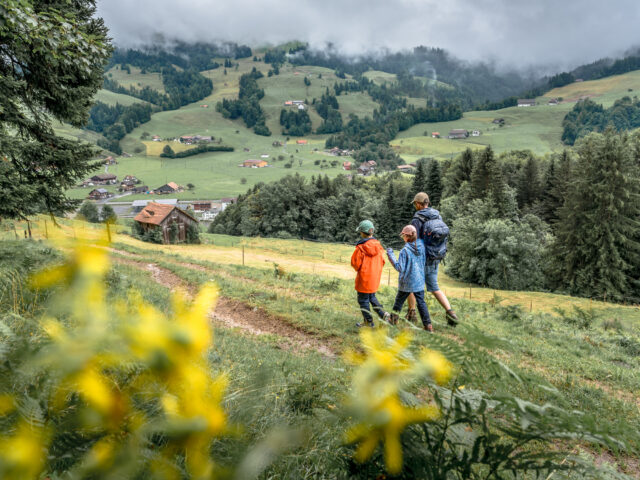 Rothenthurm, Krafthweg