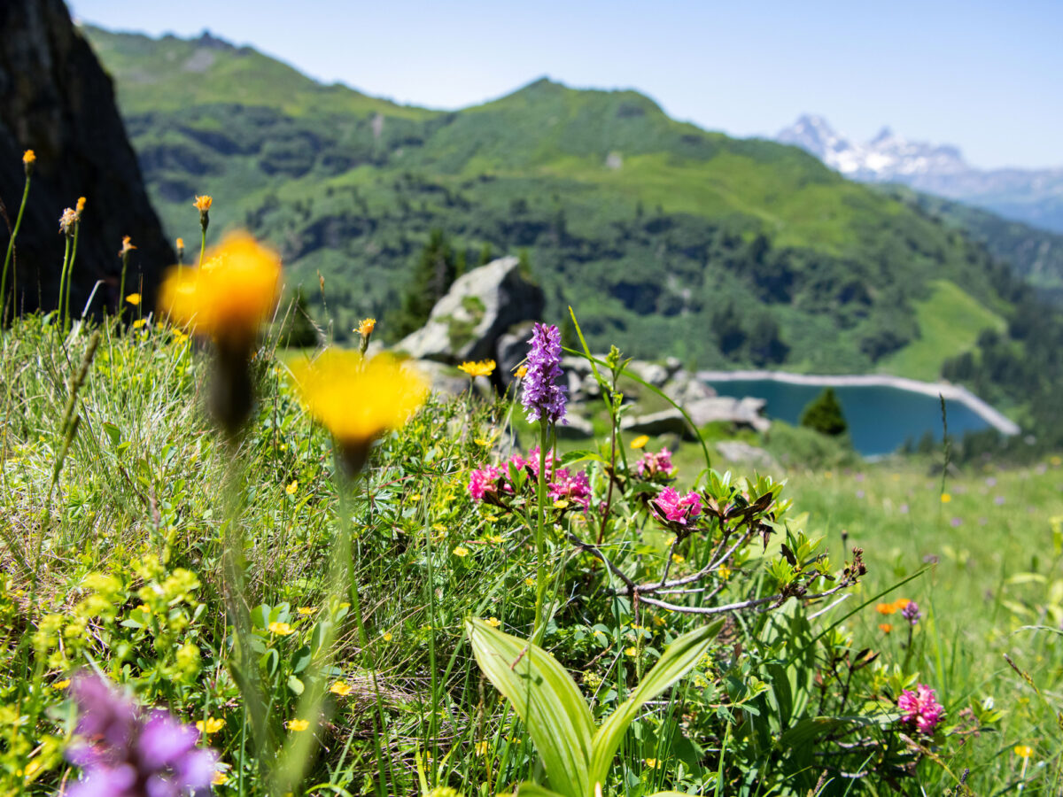 Schwanden, Berghotel Mettmen