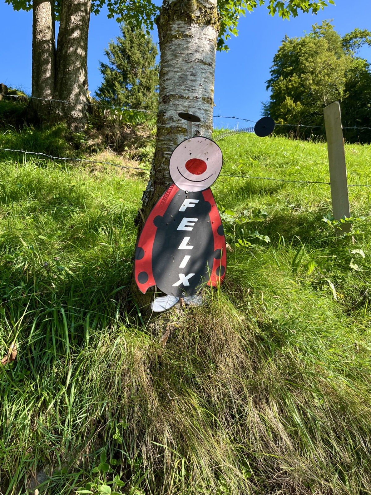 Illgau, St.Karl, Chäferliweg