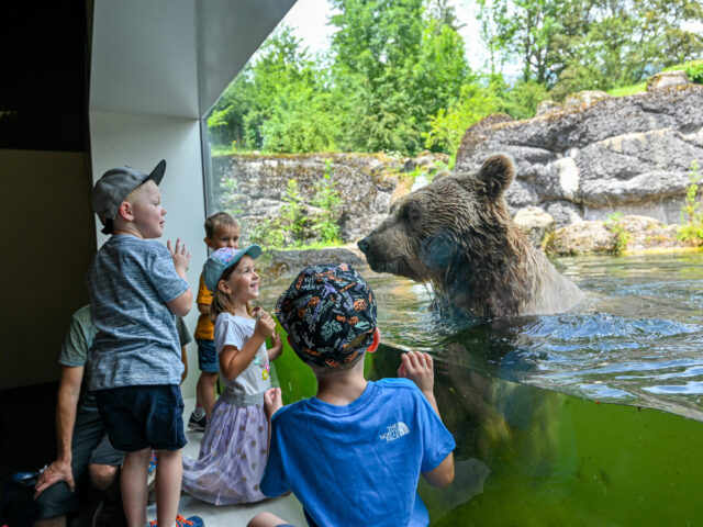 Goldau, Natur- und Tierpark