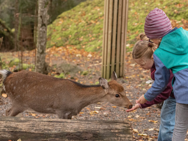 Goldau, Natur- und Tierpark