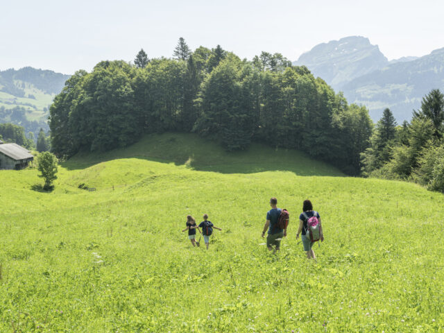 Illgau, St.Karl, Chäferliweg