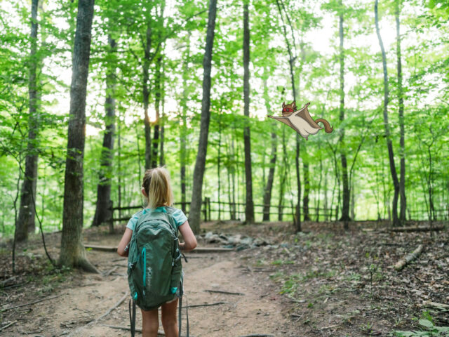 Abenteuerweg, Winnie & Tack