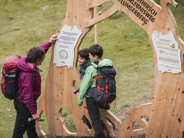 Flumserberg, Rohan Rothirsch Erlebnisweg