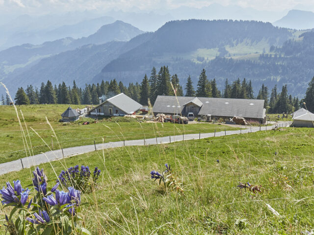 Rigi, Alp Chäserenholz