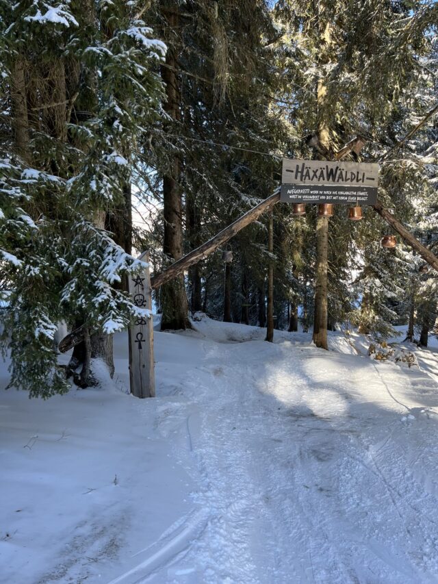 Flumserberg, Winter, Skifahren, Häxewäldli, Reto Fehr