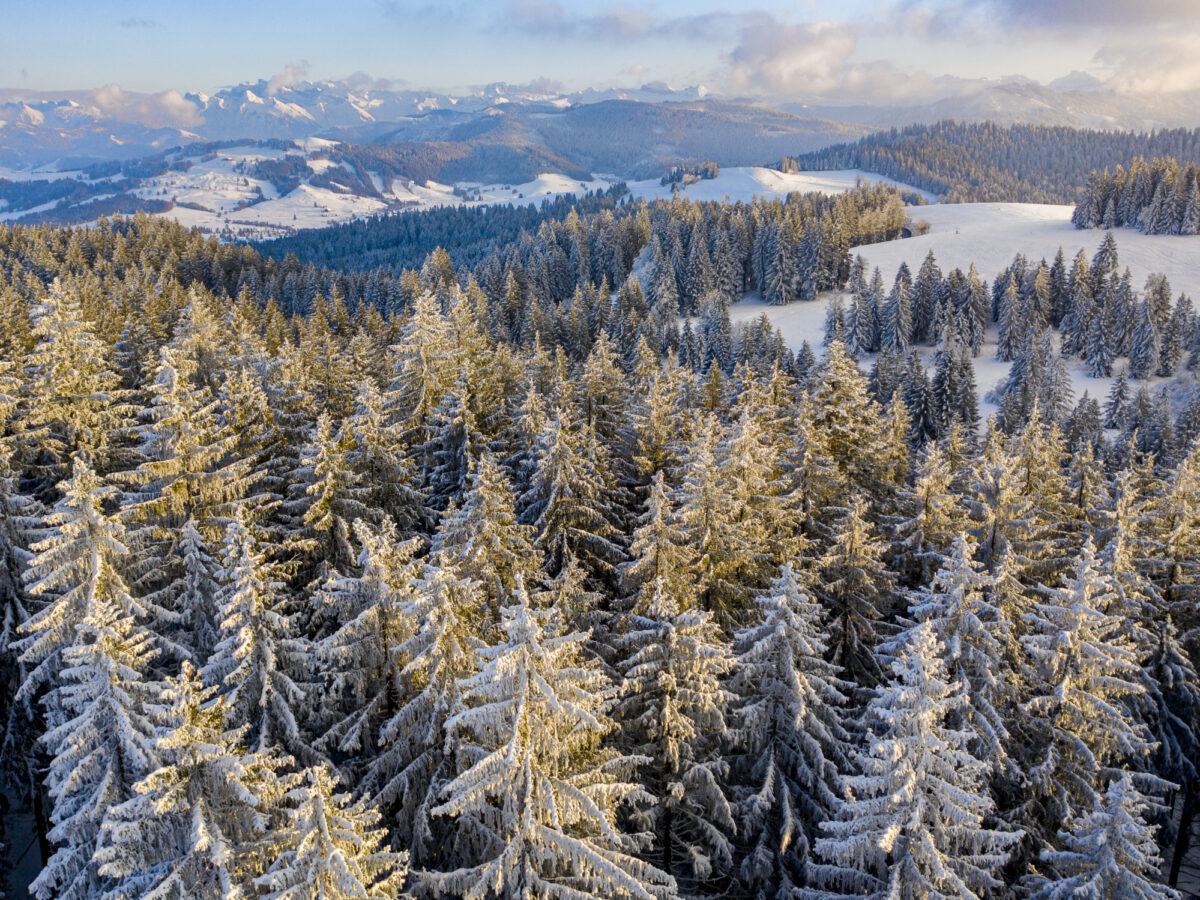 Raten, Gottschalkenberg,