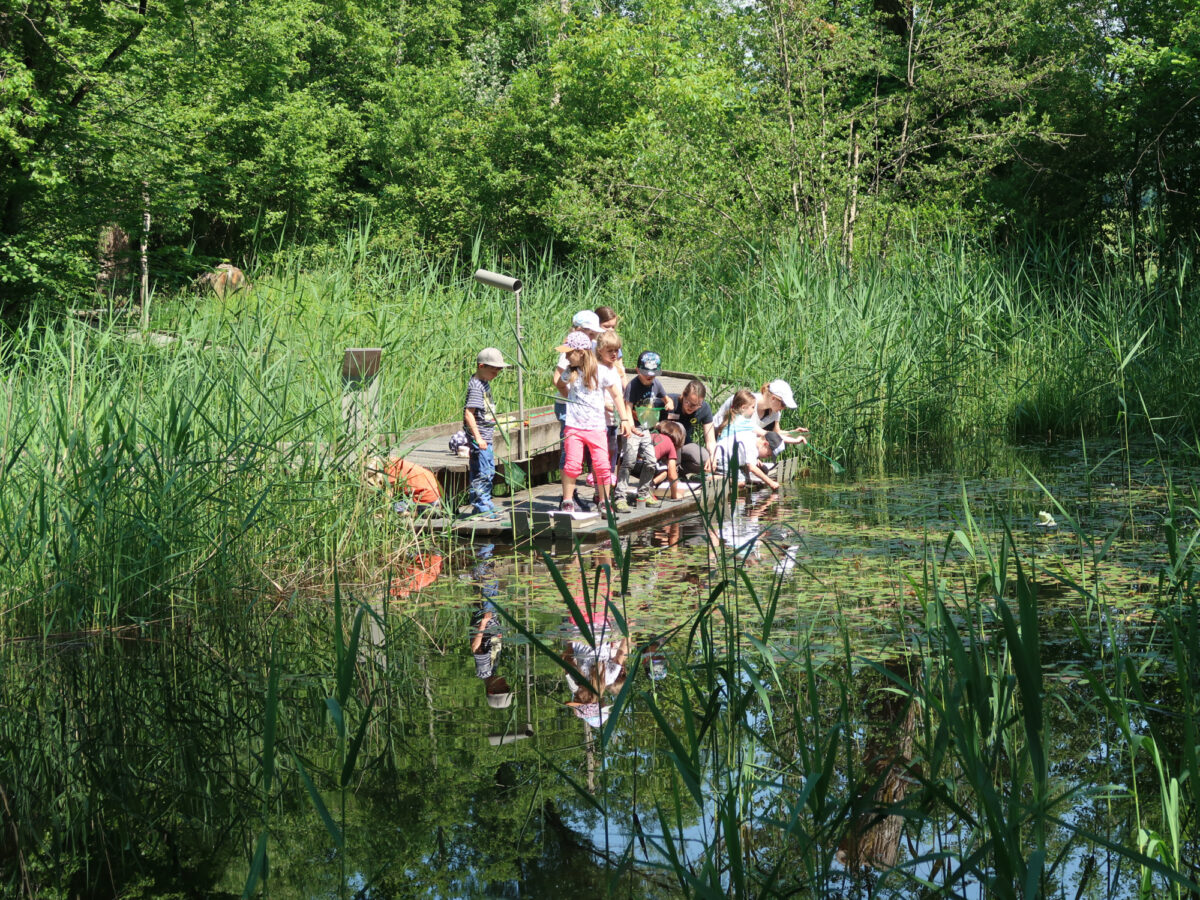 Flaach, Naturzentrum Thurauen