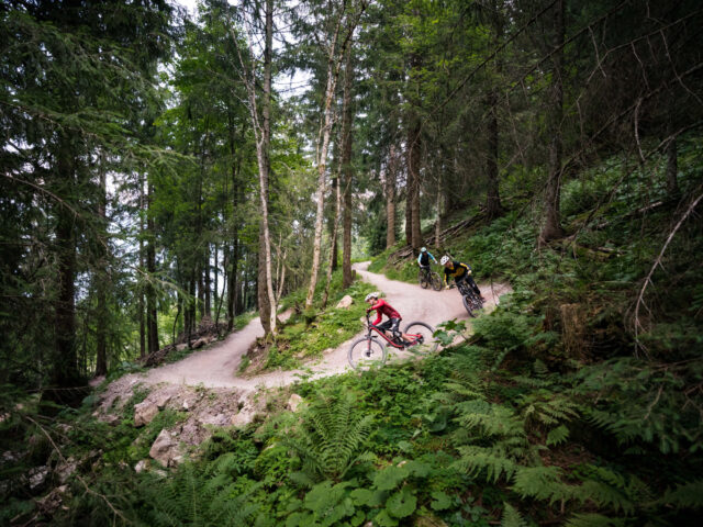 Flumserberg, BikerTrail, Blue Salamander