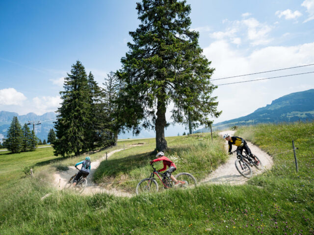 Flumserberg, BikerTrail, Blue Salamander