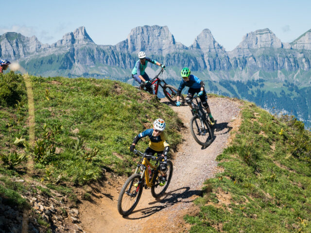 Flumserberg, BikerTrail, Blue Salamander