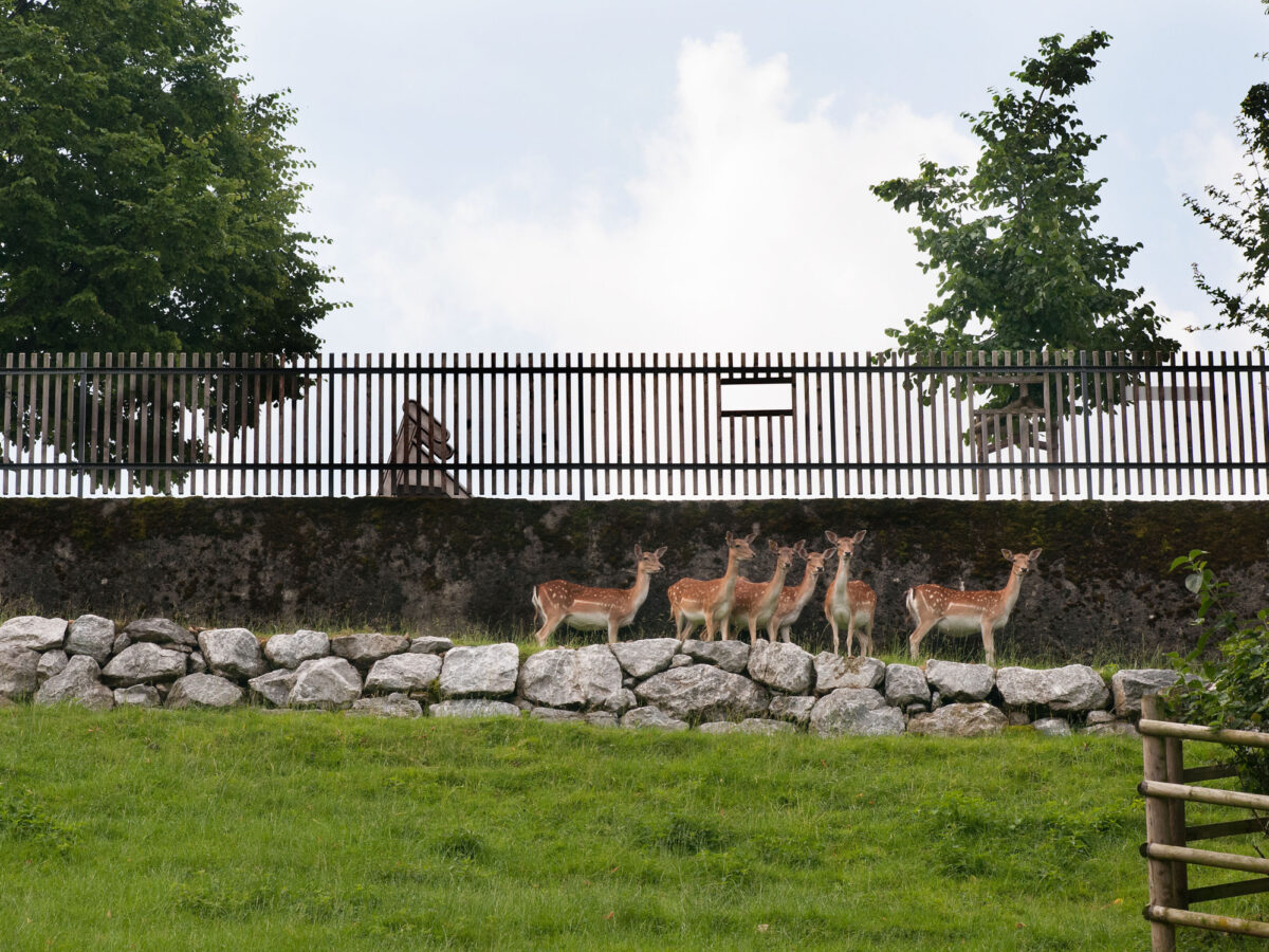Rapperswil, Hirschpark