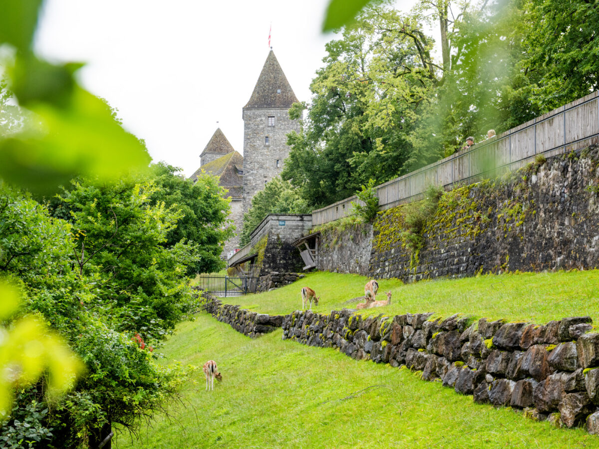 Rapperswil, Hirschpark