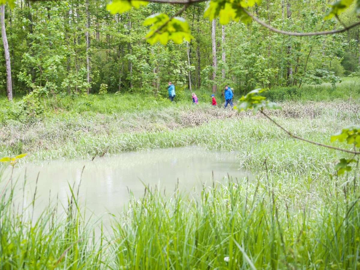 Flaach, Naturzentrum Thurauen