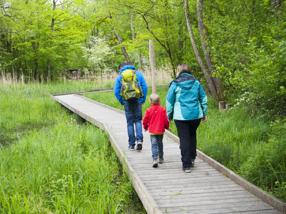 Flaach, Naturzentrum Thurauen