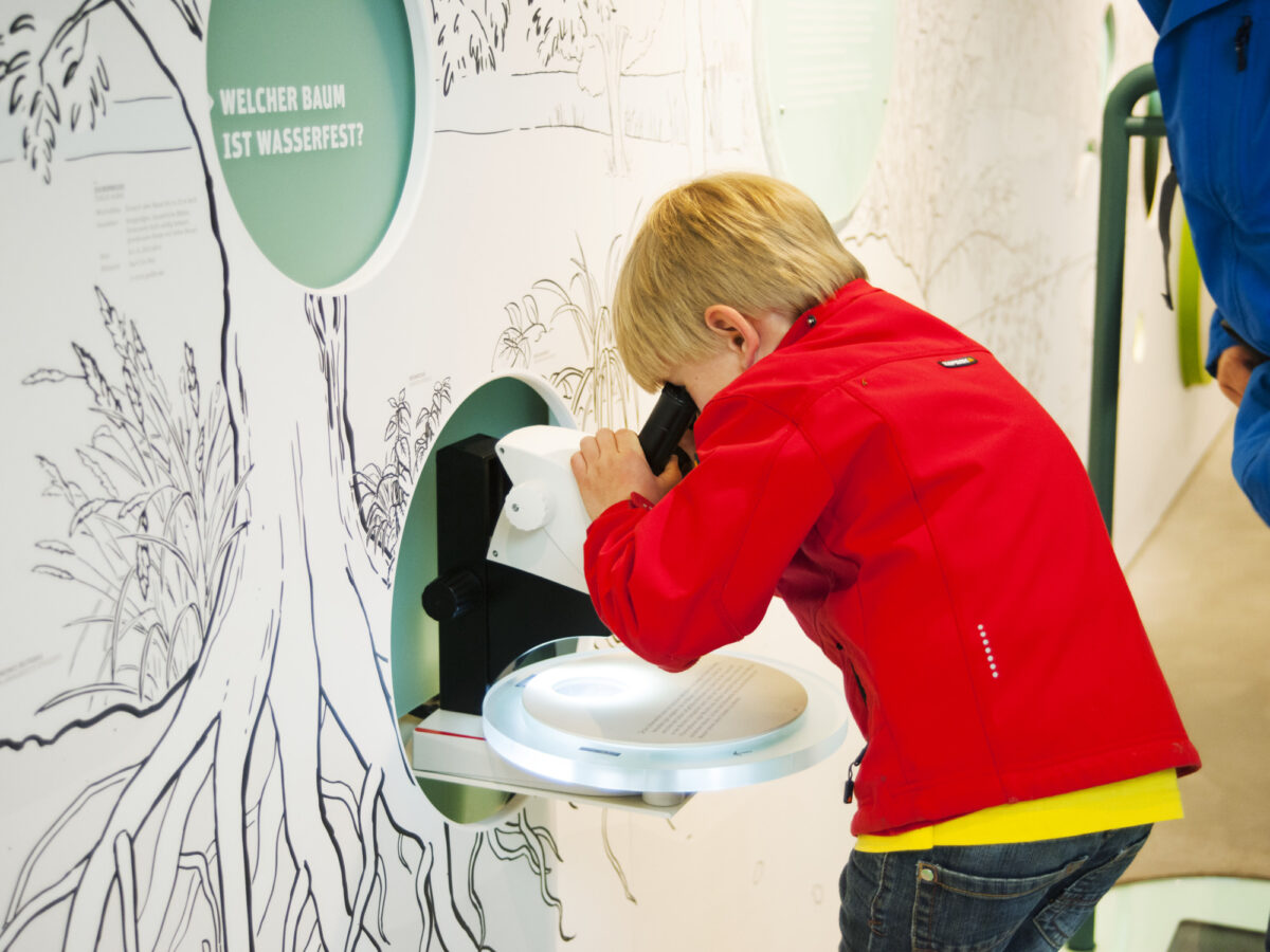 Flaach, Naturzentrum Thurauen