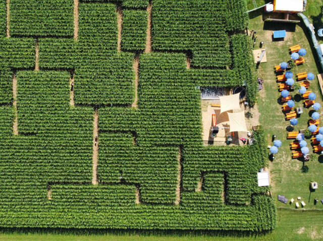 LaMa Labyrinth March