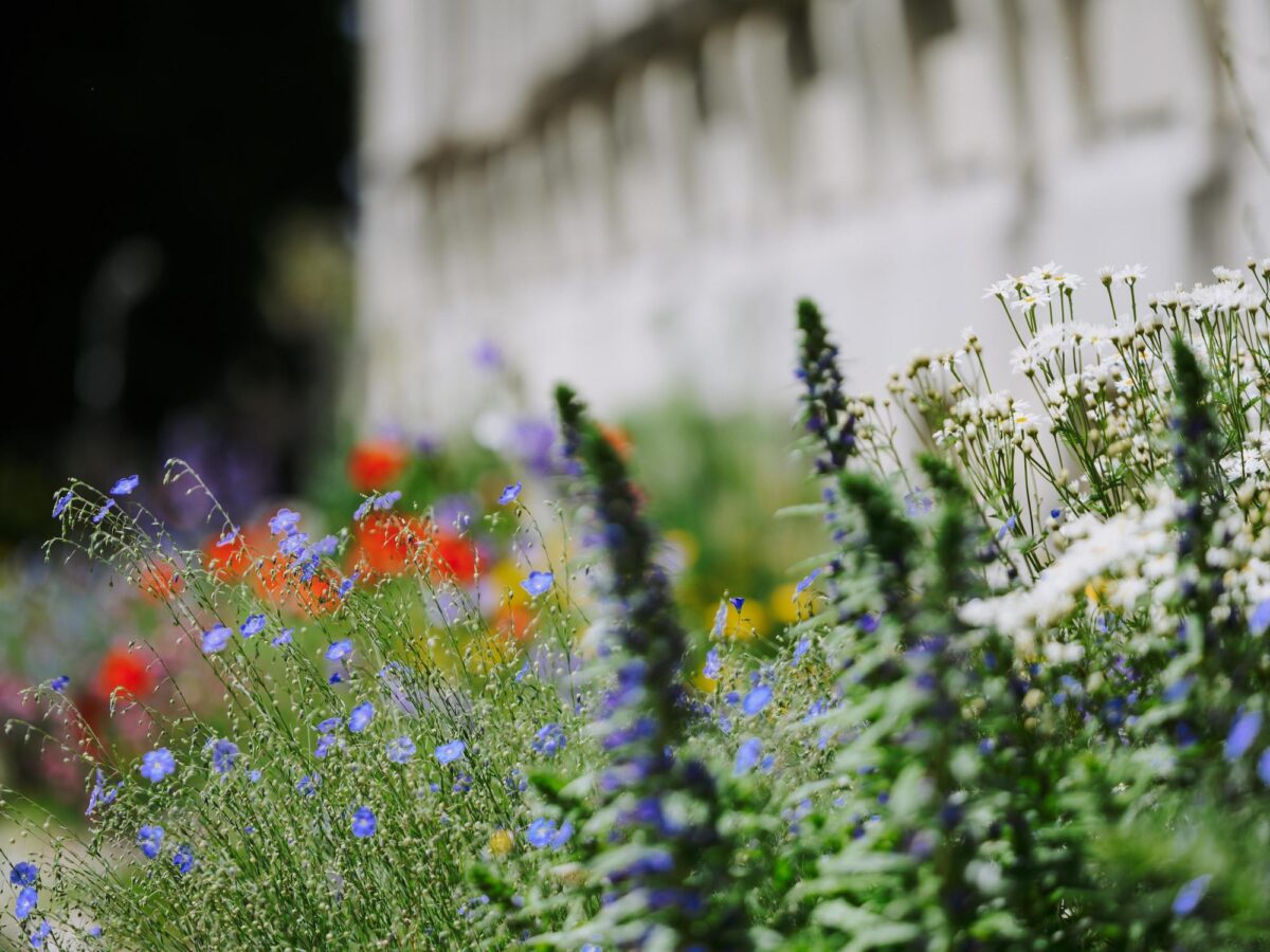 Winterthur, AXA Flora Futura Park