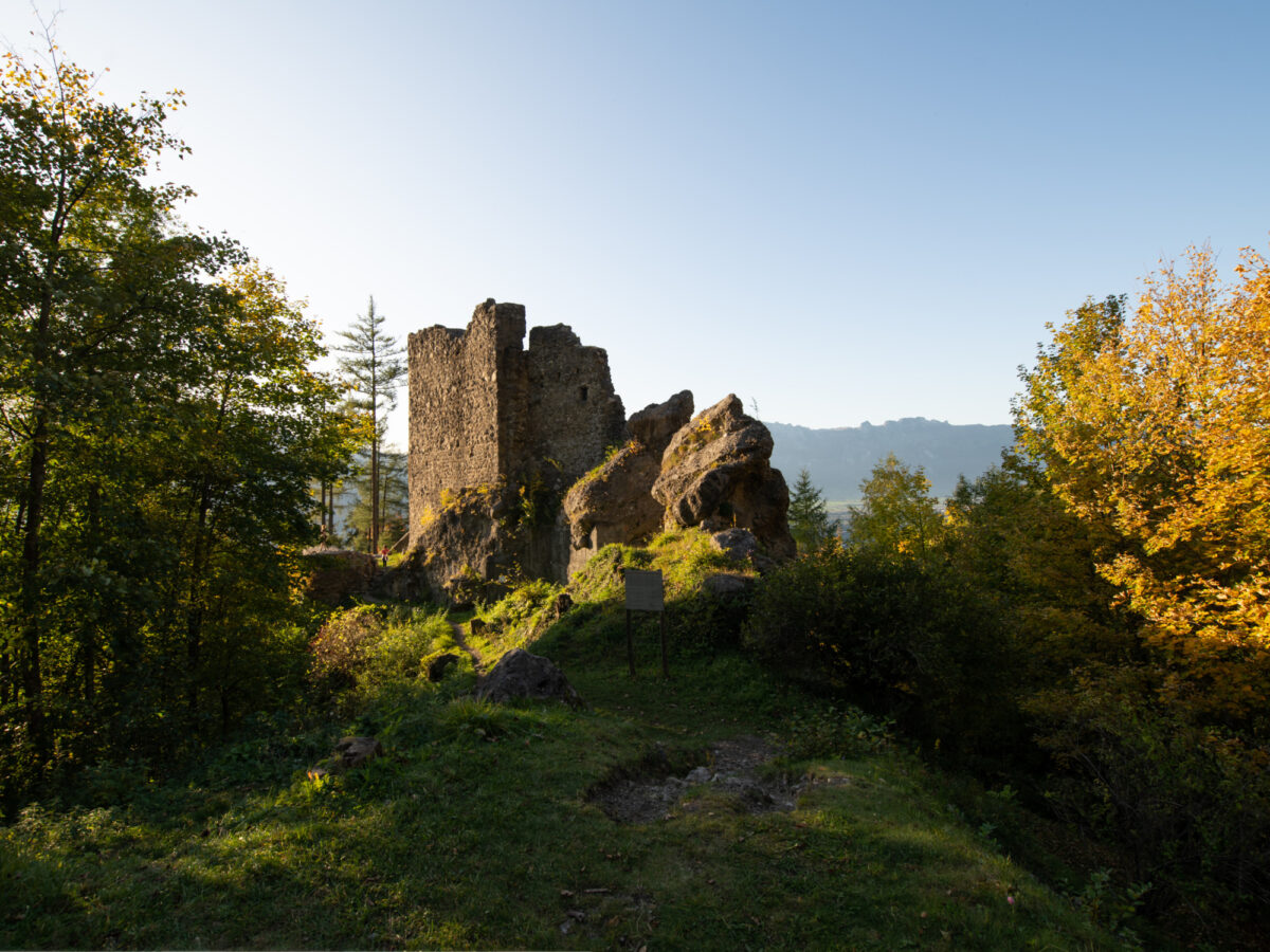 Triesenberg, Burg Schalun, Wildschloss