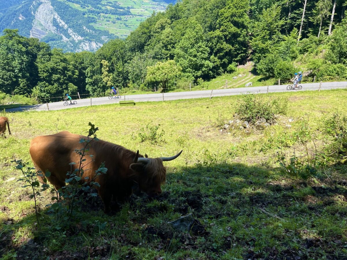 Kerenzerberg, Trottinet