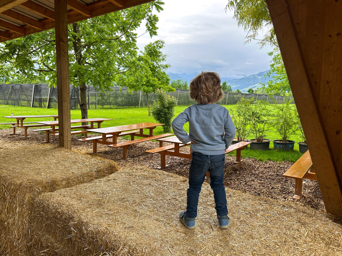 Rapperswil, Bächlihof