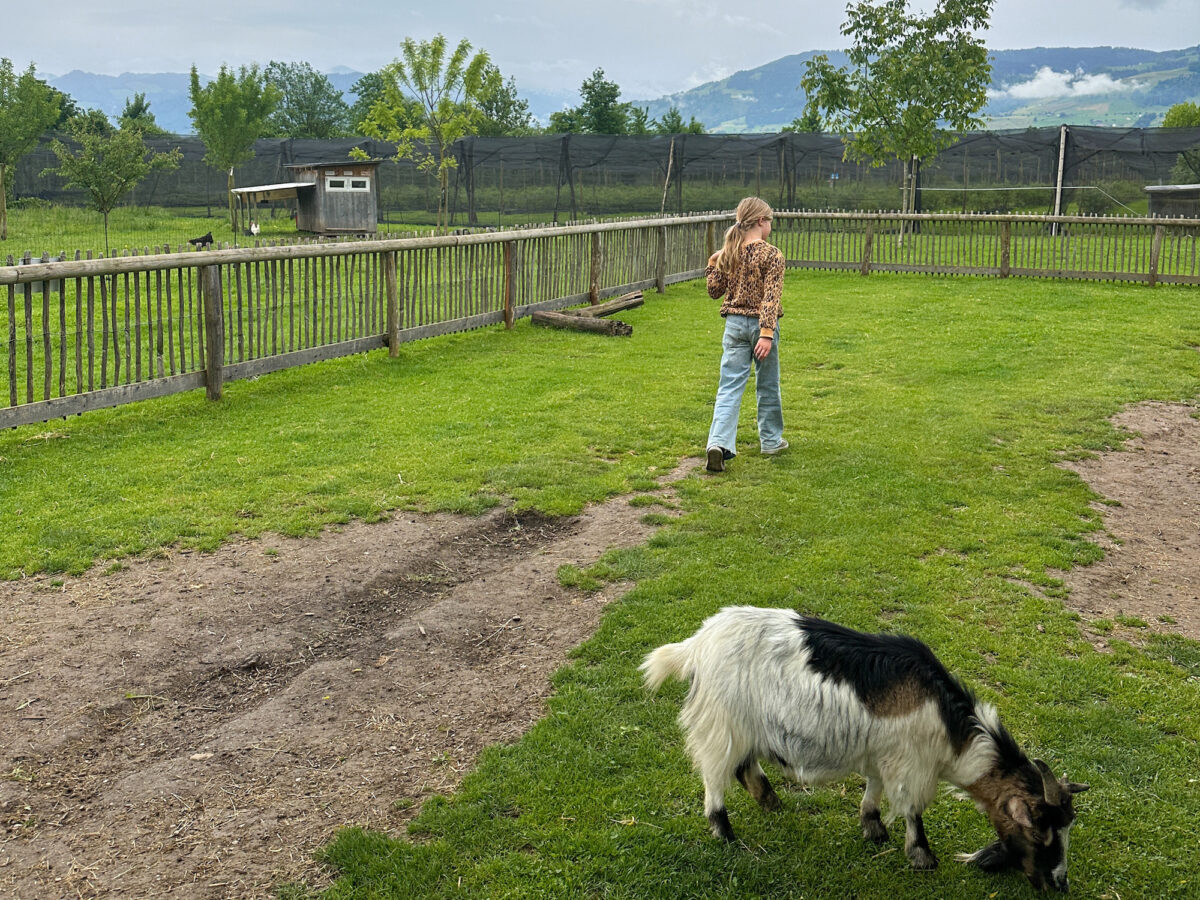 Rapperswil, Bächlihof