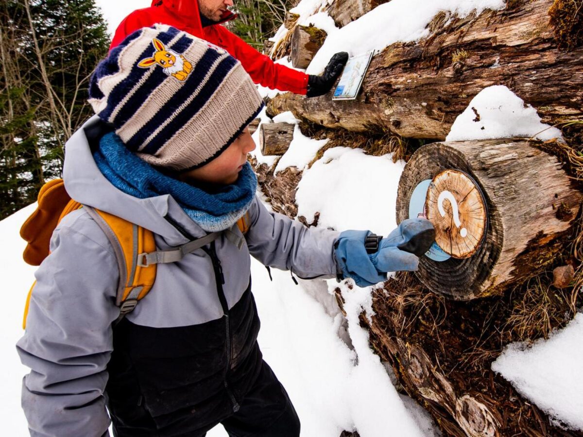 Sattel-Hochstuckli, Rondo Rätselweg