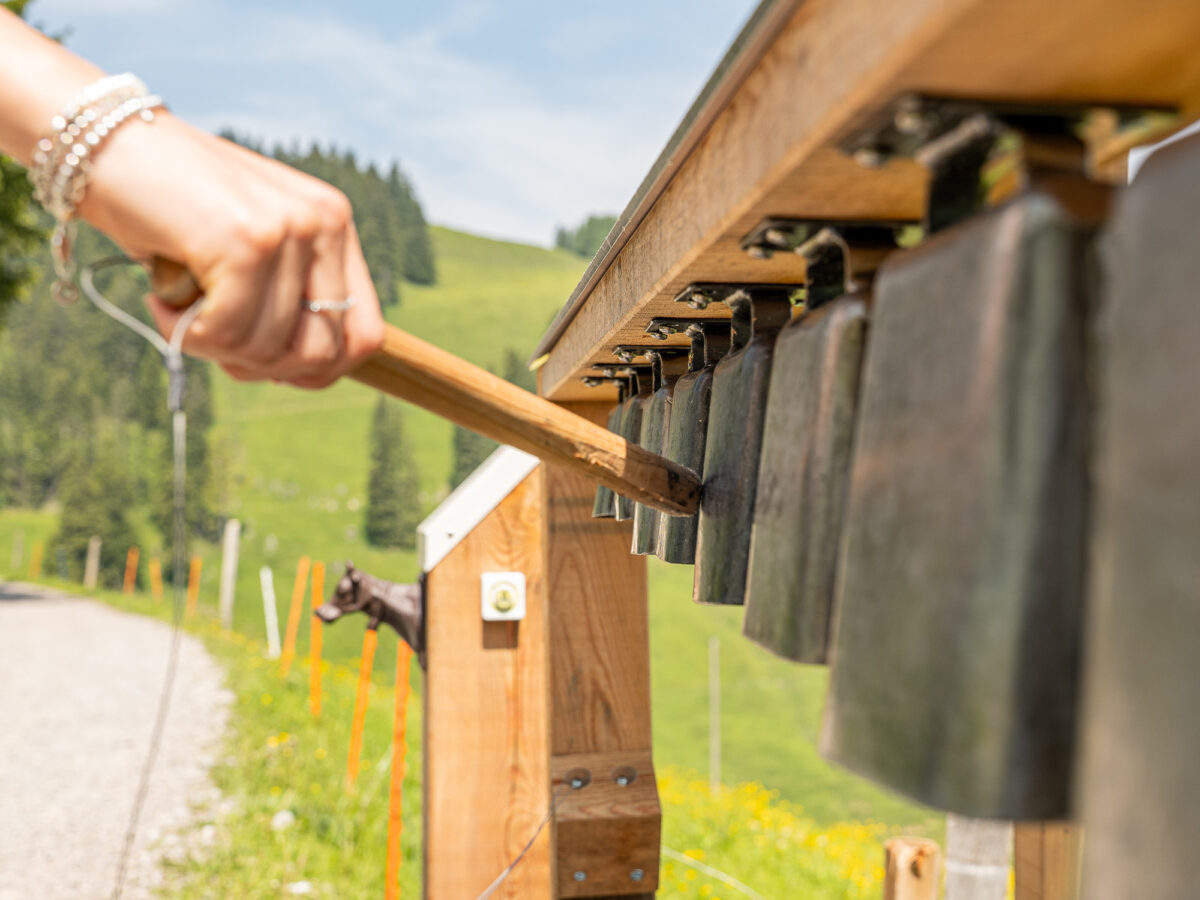 Rigi, Alperlebnisweg