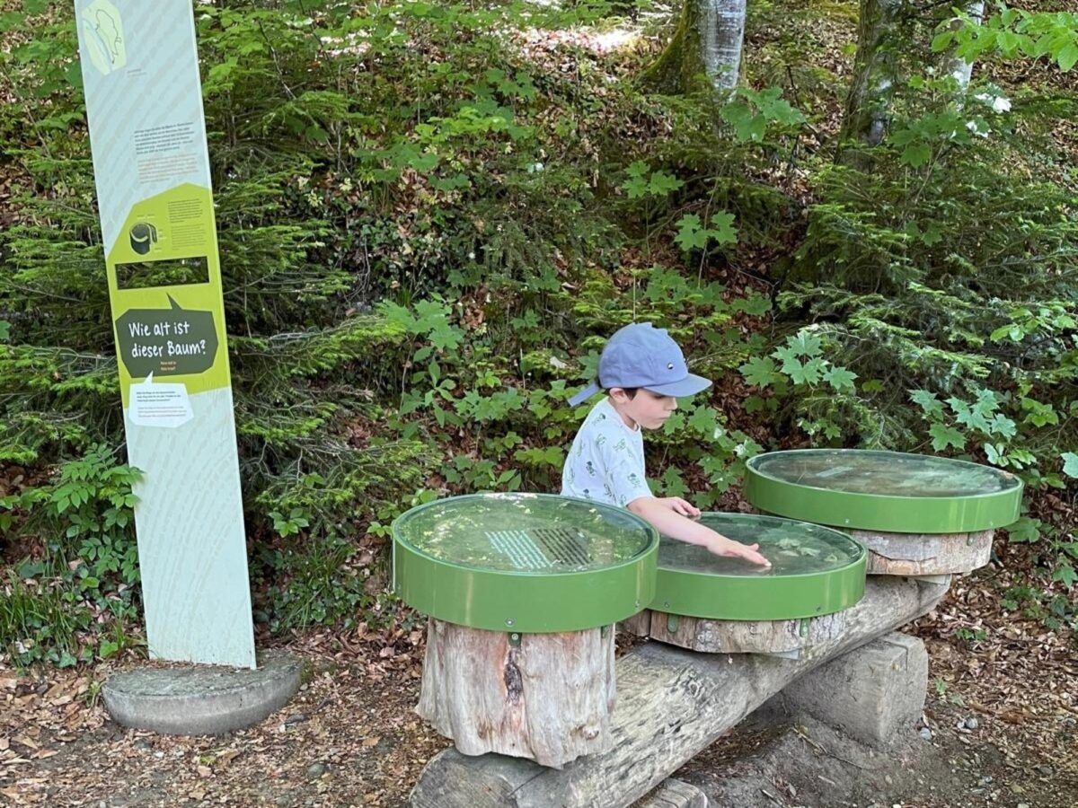 Via Natura, Hörpfad