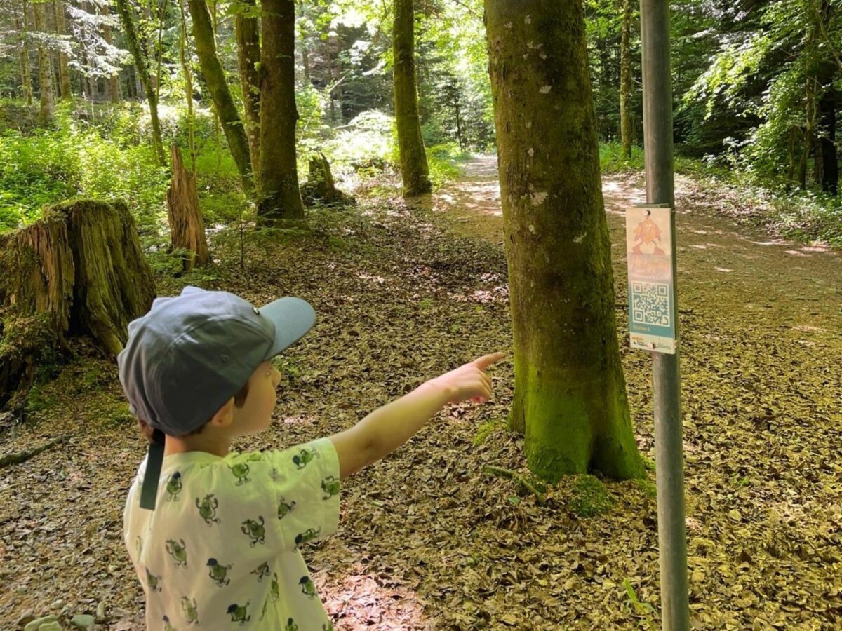 Via Natura, Hörpfad