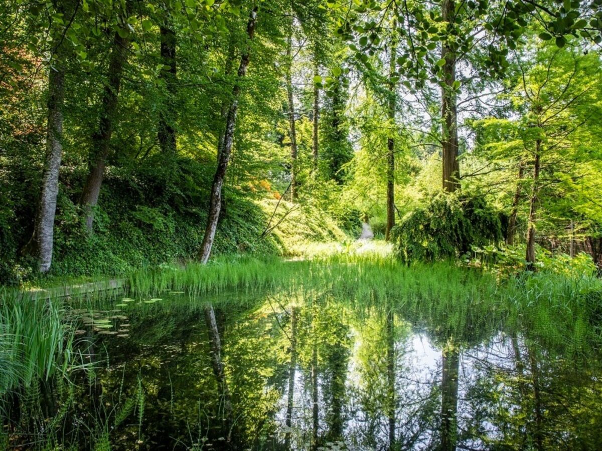 Grüningen, Botanischer Garten