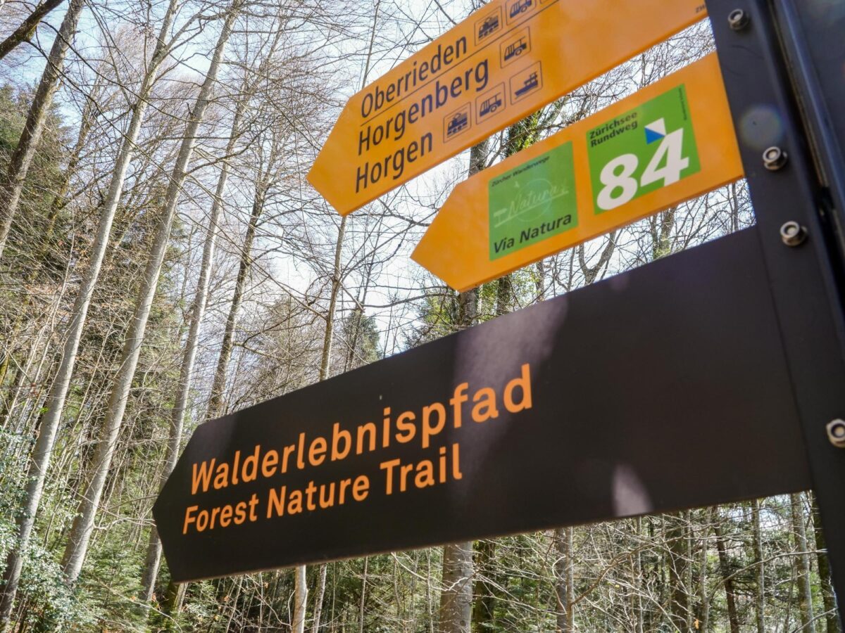 Sihlwald, Walderlebnispfad