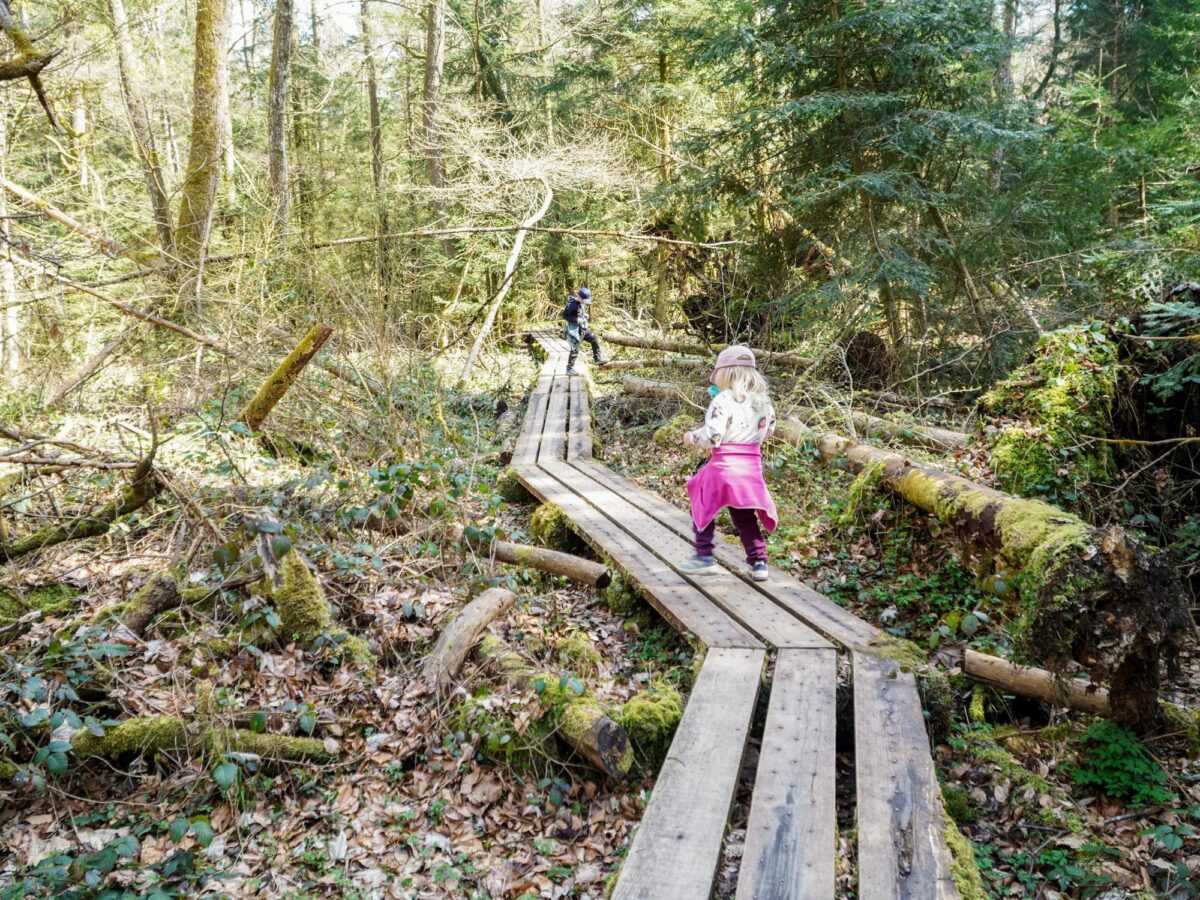 Via Natura, Hörerlebnispfad