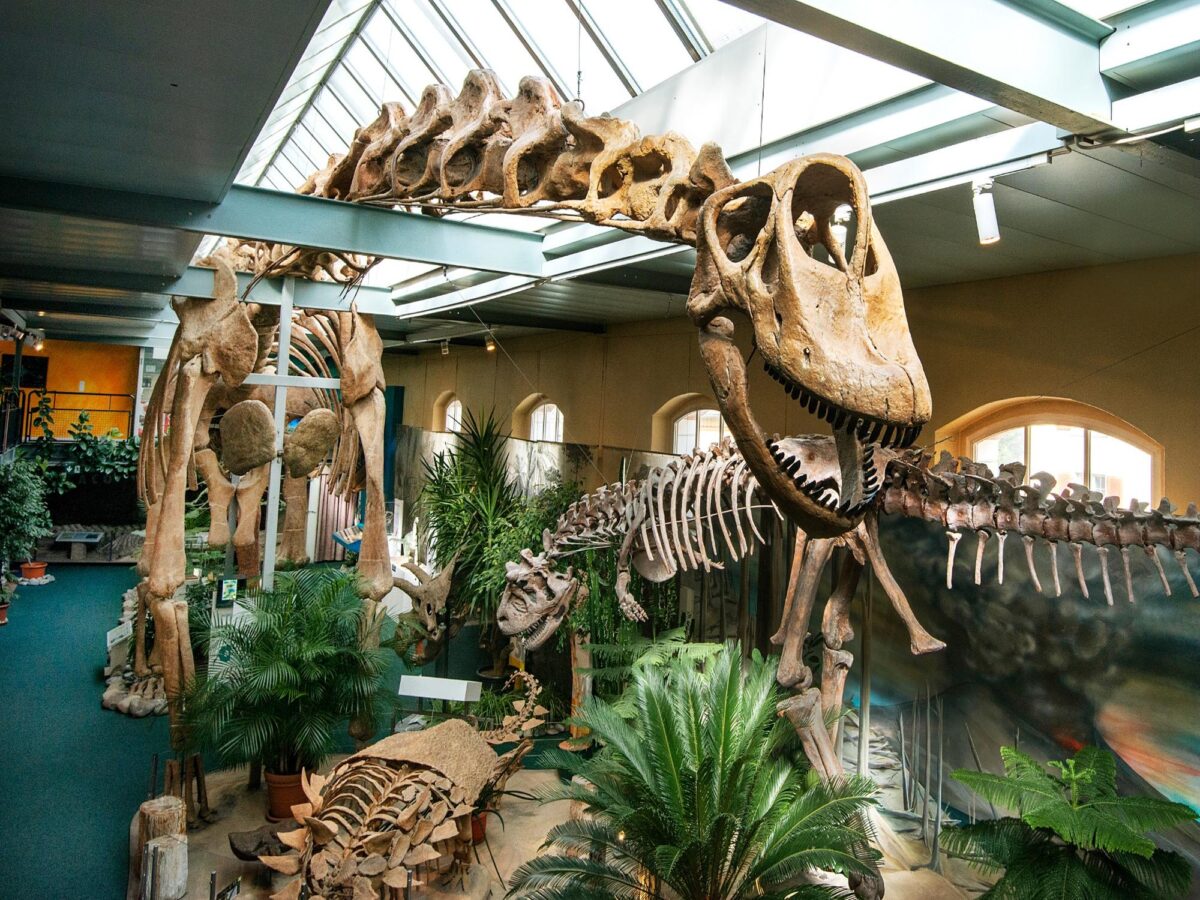 Aathal, Sauriermuseum