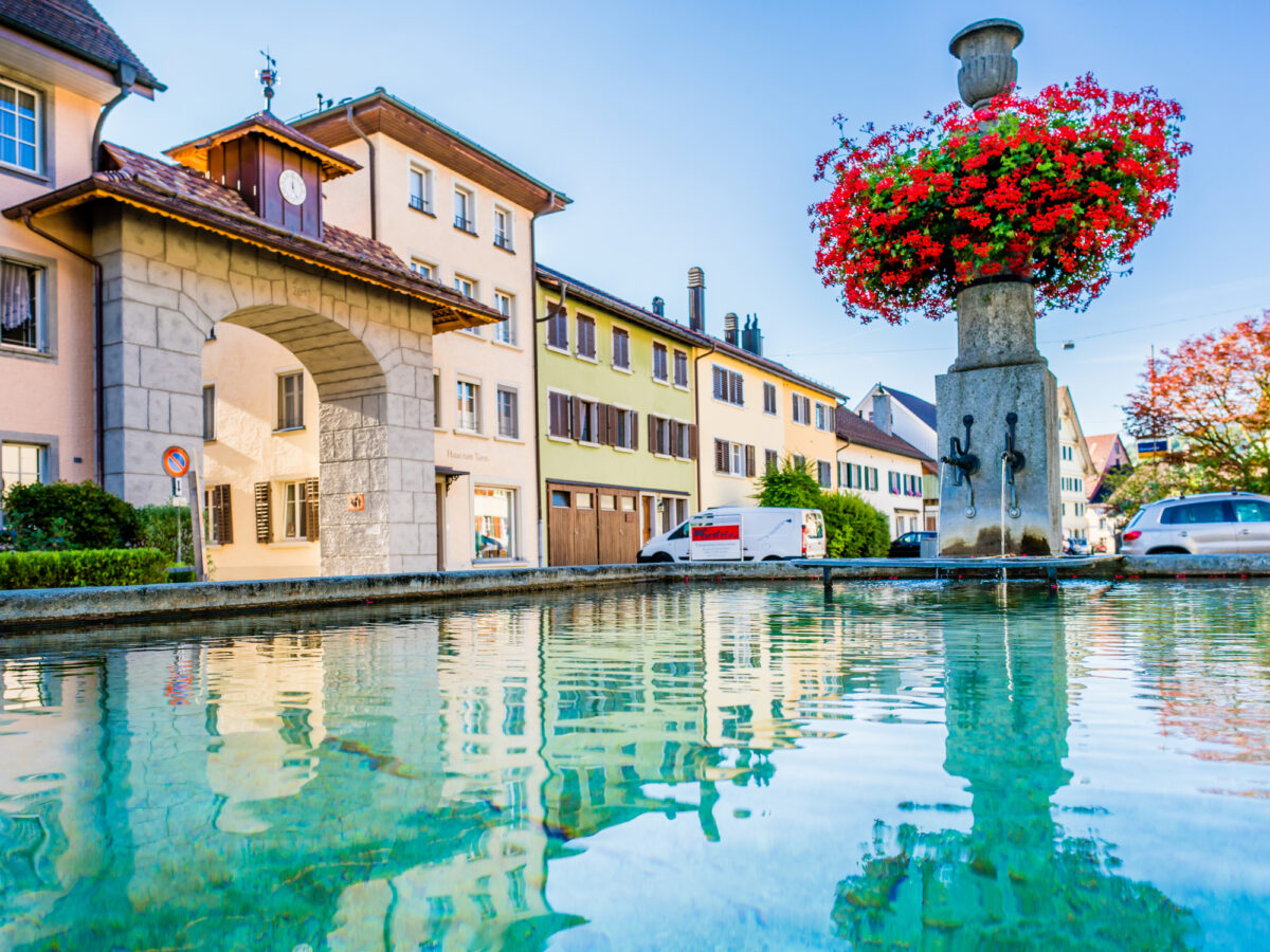 Elgg, Brunnen